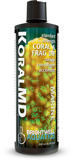 Koral MD